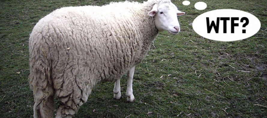Kekovi pešekani pojeli farske ovčice